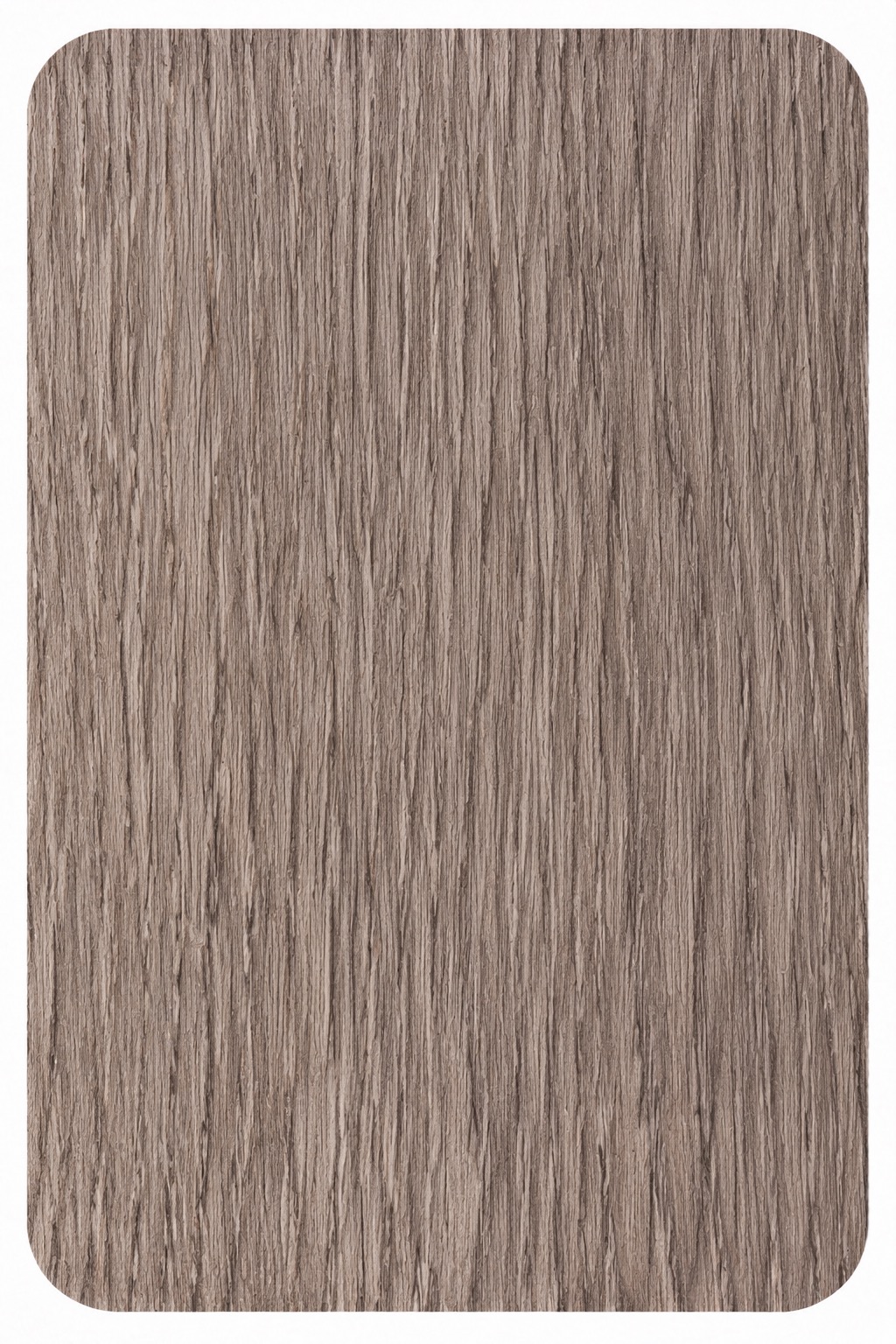 Gri Yenice Meşe DKZ 02-20